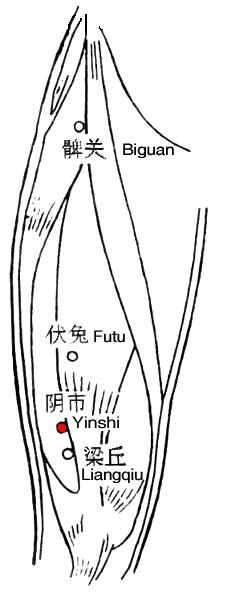 阴市 第1张 阴市