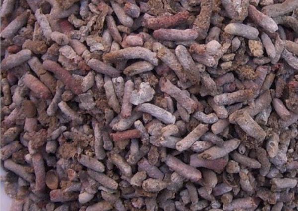 雄家雀粪 第1张 雄家雀粪