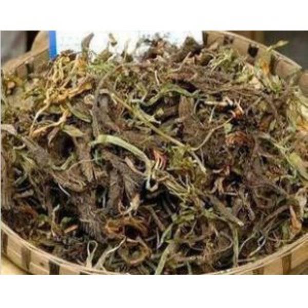 零陵香 第2张 零陵香
