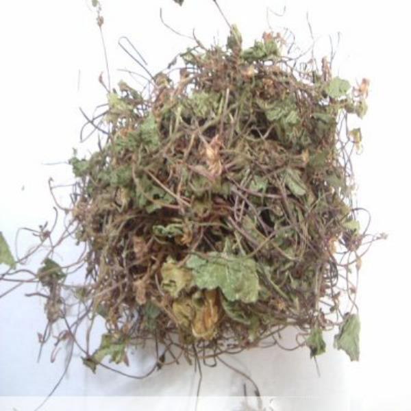 雷公根 第2张 雷公根