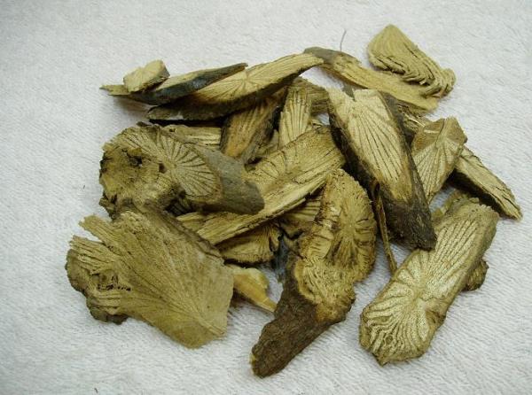 青防己 第1张 青防己