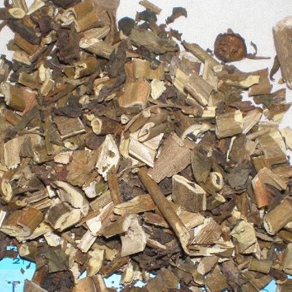 颠茄草 第1张 颠茄草