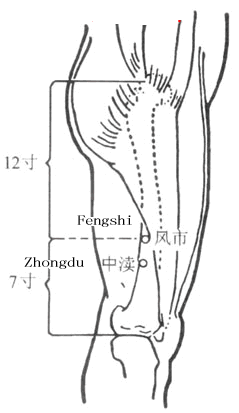 风市