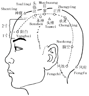风池
