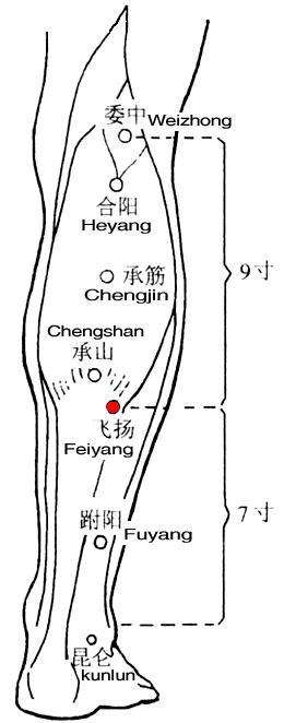 飞扬 第1张 飞扬