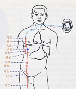 食窦 第1张 食窦
