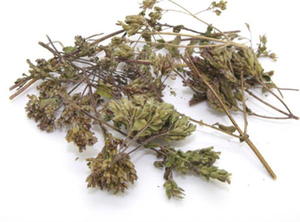 香茸 第2张 香茸