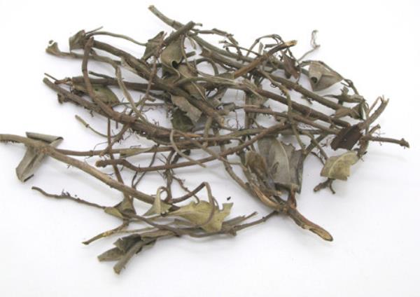 骑墙虎 第2张 骑墙虎