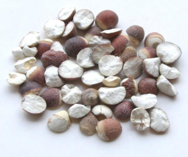 鸿头