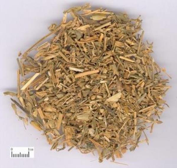 麦句姜 第1张 麦句姜