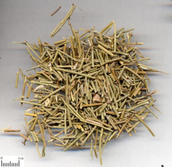 麻王 第1张 麻王