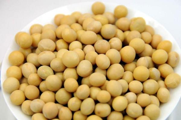 黄大豆 第1张 黄大豆