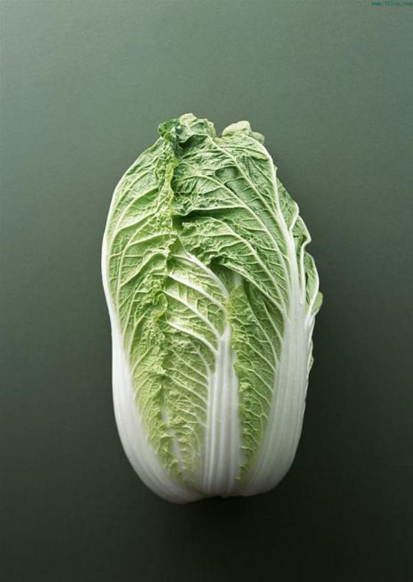 黄矮菜 第1张 黄矮菜