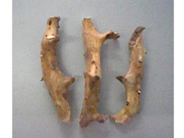 黄鞭
