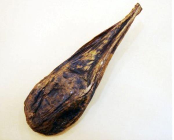 黑瞎子胆 第2张 黑瞎子胆
